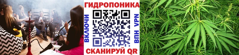 Бошки марихуана OG Kush  Собинка 